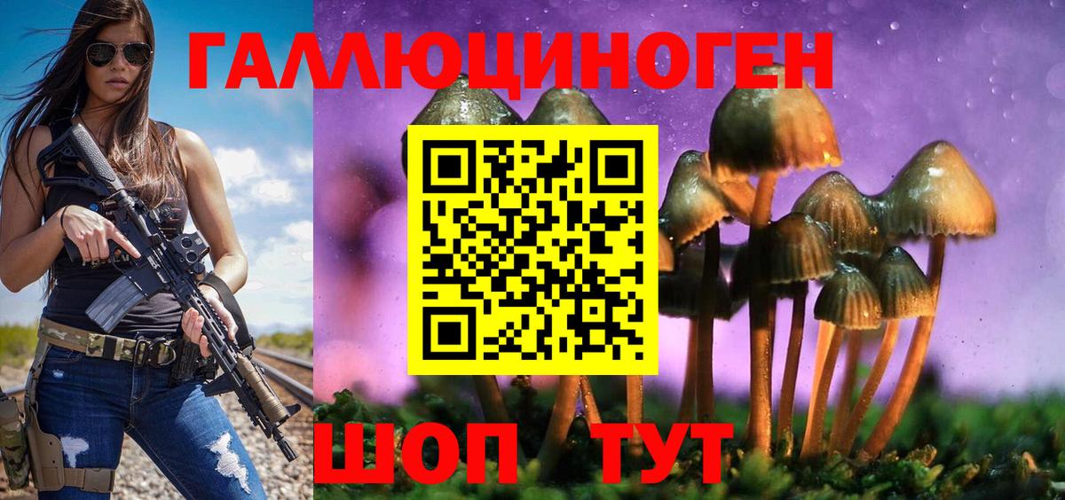 Волгоград  где найти наркотики  Вход с VPN  Псилоцибиновые грибы мицелий 